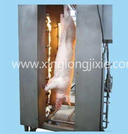 Pig singeing furnace